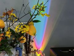 -Supine Bistro溯泮餐厅