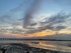 -宝安西湾红树林湿地公园