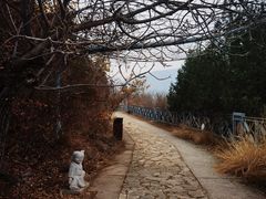 -八奇洞景区