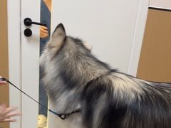-瑞派康怡24h宠物医院·犬猫医疗中心·微创绝育(瑞景分院)