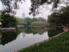 -晓港公园