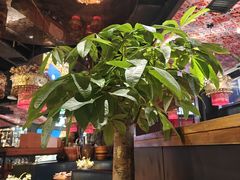 -吃饭皇帝大土家民族菜(正大广场店)