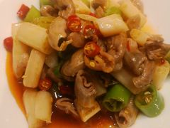 -陈麻婆豆腐总店