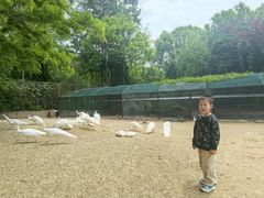 -秦皇岛野生动物园