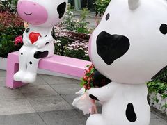 -金光华广场