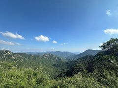-大岭沟猕猴桃谷风景区
