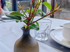 -野蔓果·山野菜(西湖景区·龙井茶田店)