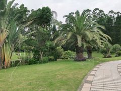 -厦门悦华酒店