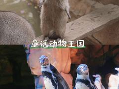 -长鹿旅游休博园