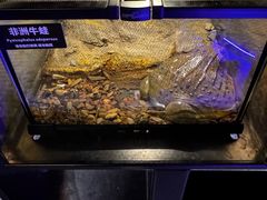 -太平洋海底世界