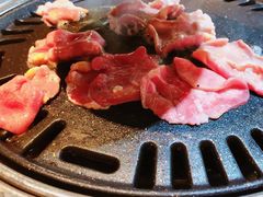 -唯成•韩国炭火烤肉 유성고기