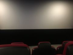 -汇金缪斯影城(八佰伴店)