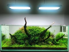 -ADA自然水景世界