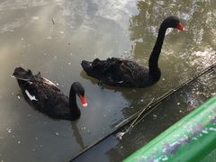 -长兴太湖图影湿地文化园