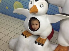 -石家庄海洋公园