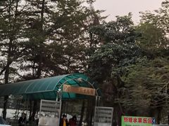 -新塘水果乐园(东洲大道店)