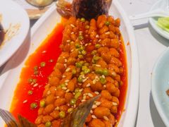 -新侨小馆(东直门北小街店)