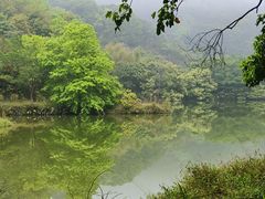 -象头山国家级自然保护区