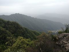 -王顺山国家森林公园