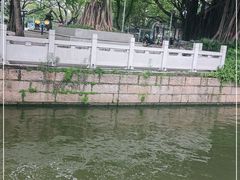 -荔湾湖公园