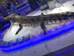 -澜悦港海鲜体验主题餐厅