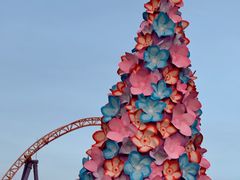 -上海海昌海洋公园