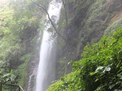 IMG_2498-莫里热带雨林景区