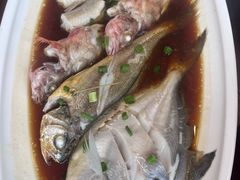 -妈妈菜舟山海鲜(定海古城店)