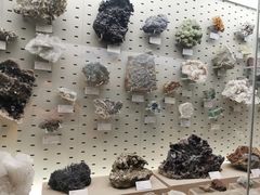 -浙江自然博物院(杭州馆)