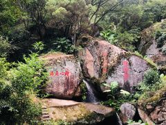 -青芝山风景名胜区