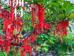 -小洲村