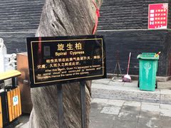 -关林