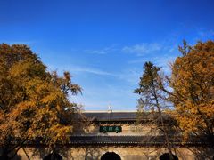 -灵谷景区