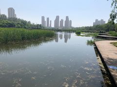 -前关湿地公园