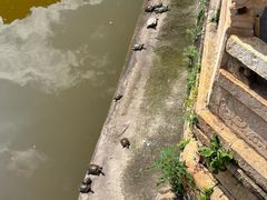 -红豆园(文林街店)