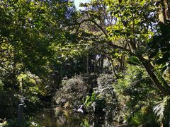 -EG Waterhouse Camellia Gardens Sutherland Shire