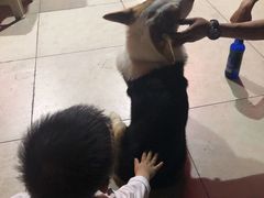 -阿尔法海鲜排档(爱琴海店)