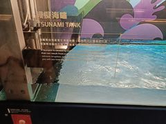 -香港科学馆