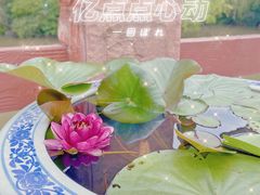-上海滨江森林公园