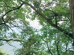 -青城山