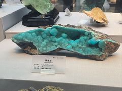 -湖南省地质博物馆