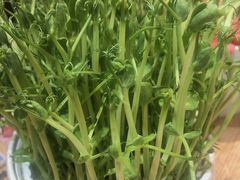 活体豆苗-笨小满·钱缸缸火锅(江汉路M+店)