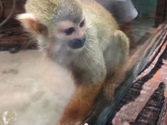 -杭州海底世界