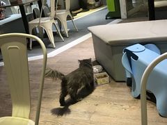 -小时光咖啡馆(开森度假森林店)