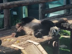 -大连森林动物园