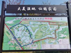 -盐城丹顶鹤湿地生态旅游区