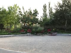 -北极寺公园