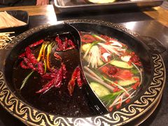 -小志家.鲜牦牛肉牛杂火锅野生菌汤锅