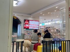 -翊宠yipet猫狗购宠庄园犬舍•猫舍