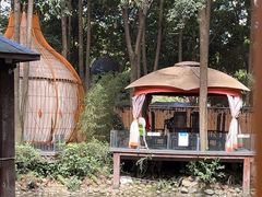 -二荆条·蜀鲜汇城市森林火锅